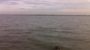 68479_10152201769660005_1431971254_n